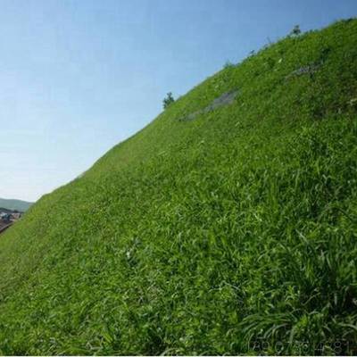 昆明矿山生态修复 喷播植草护坡单价优势与全国施工实践